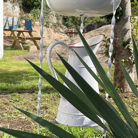Casa Piedras Holiday home *